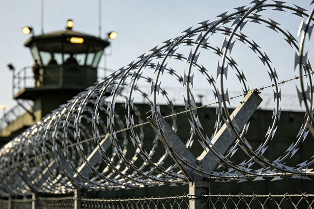Concertina Razor Wire