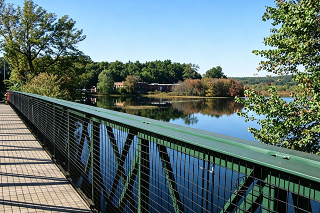 Bridge Fencing