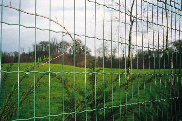 Dutch-Style Mesh Fencing